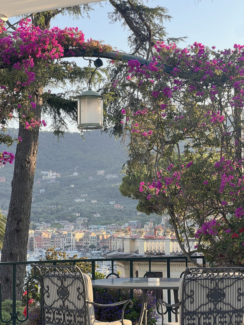 A terrace under bougainvillea looking over a Riviera harbour town
